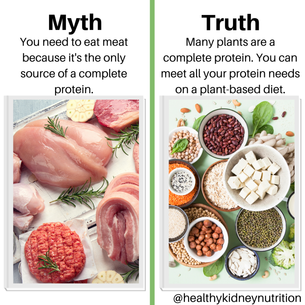 Plant Based Vs Vegan Diet And Kidney Disease Healthy Kidney Nutrition plant-based-vs-vegan-diet-and-kidney-disease-healthy-kidney-nutrition