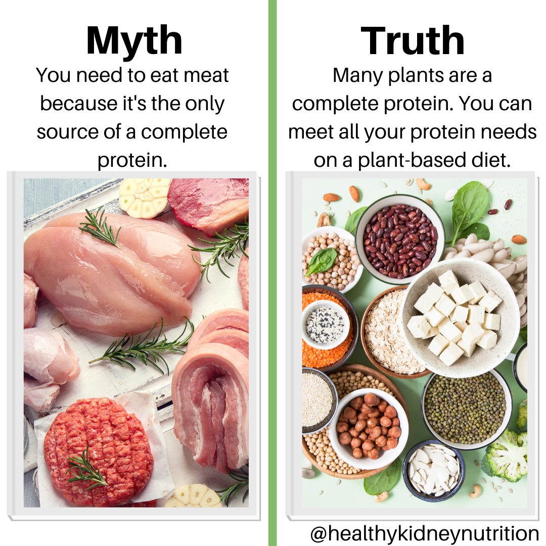 Plant based vs Vegan diet and Kidney Disease Healthy Kidney Nutrition